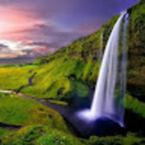 Meet your Posher, Coy